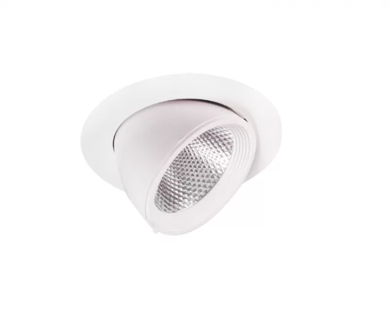 Spot Light - 0116
